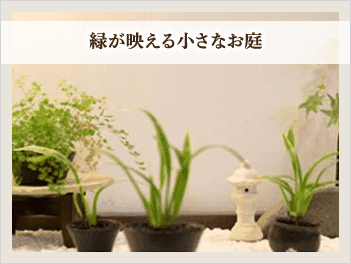 緑が映える小さなお庭