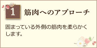 筋肉へのアプローチ